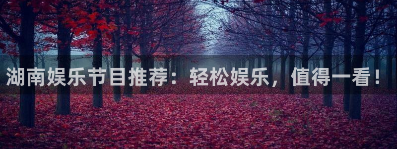 星辉平台官网版