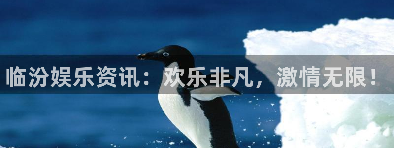 星辉平台网站登录流程
