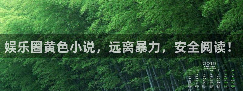 星辉平台网站