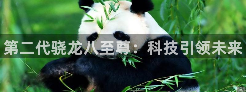 星辉平台网站登录流程