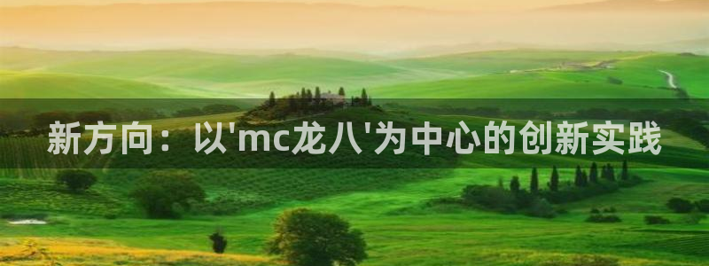 星辉平台com