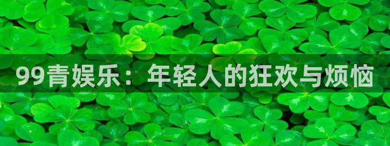 星辉平台游戏官网平台入口