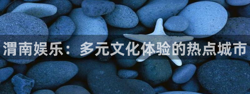 星辉平台哪个游戏好爆