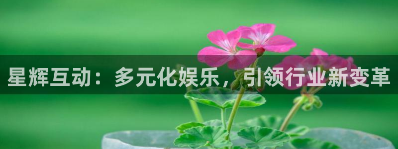星辉平台平台官网版最新