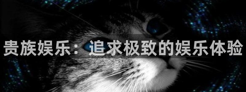 星辉平台网页版登