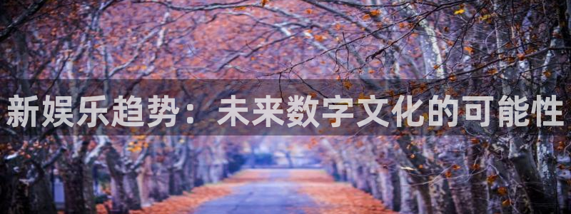 星辉平台官网版