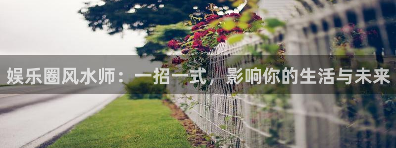 星辉平台app新版上线体验.游戏更新入口.中国