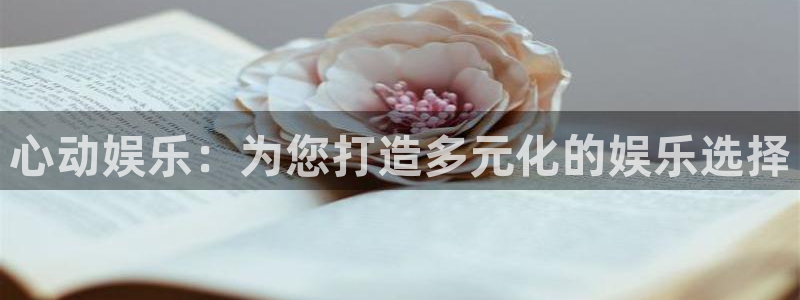 壹号电子娱乐app下载安装