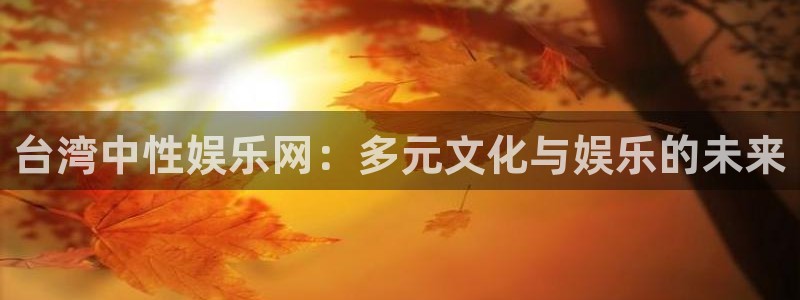 星辉平台平台官网版最新
