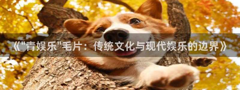苹果版星辉平台下载安装