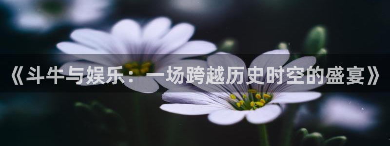 壹号大舞台官网