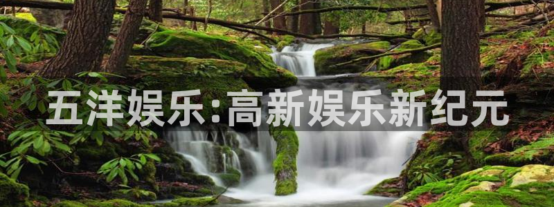 星辉平台app