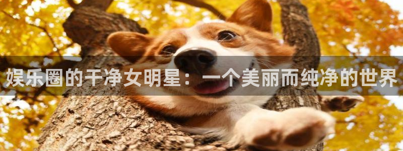 星辉平台有梦你就来
