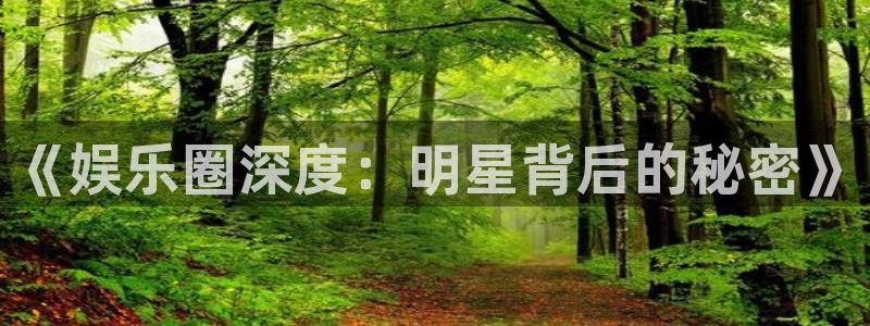 星辉平台电子游戏