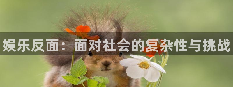 星辉平台平台下载入口