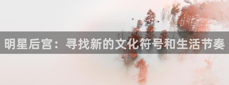 星辉平台pg