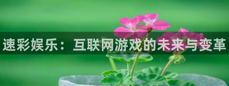 壹号app下载苹果：速彩娱乐：互联网游戏的未来与变革