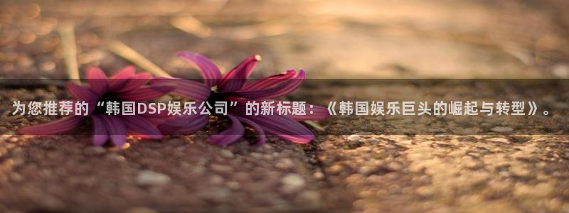 星辉平台官网下载：为您推荐的“韩国DSP娱乐公司”的新标题：《韩国娱乐巨头的崛起与转型》。