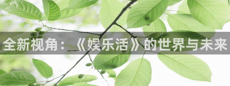 星辉平台官方app下载安装：全新视角：《娱乐活》的世界与未来