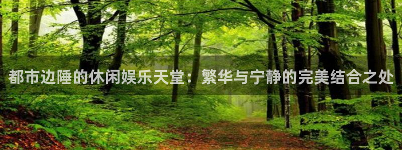 星辉平台吧：都市边陲的休闲娱乐天堂：繁华与宁静的完美结合之处