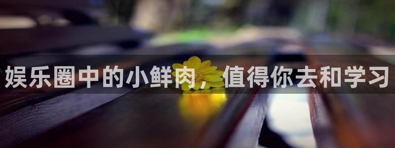 星辉平台放水时间：娱乐圈中的小鲜肉，值得你去和学习