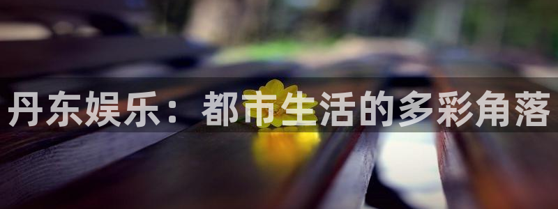 星辉平台 - ng大舞台,有梦你就来：丹东娱乐：都市生活的多彩角落