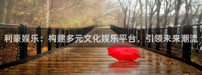 星辉平台是啥：利豪娱乐：构建多元文化娱乐平台，引领未来潮流