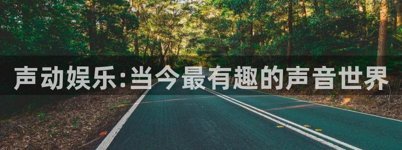 星辉平台注册链接入口：声动娱乐:当今最有趣的声音世界
