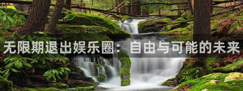 星辉平台,apk：无限期退出娱乐圈：自由与可能的未来