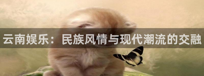 星辉平台,apk.：云南娱乐：民族风情与现代潮流的交融