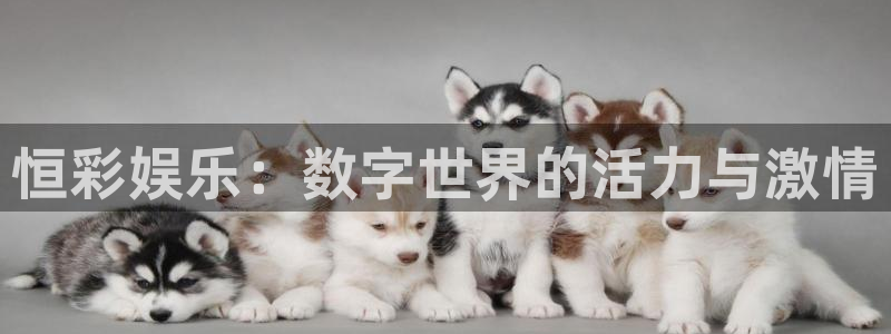星辉平台：恒彩娱乐：数字世界的活力与激情