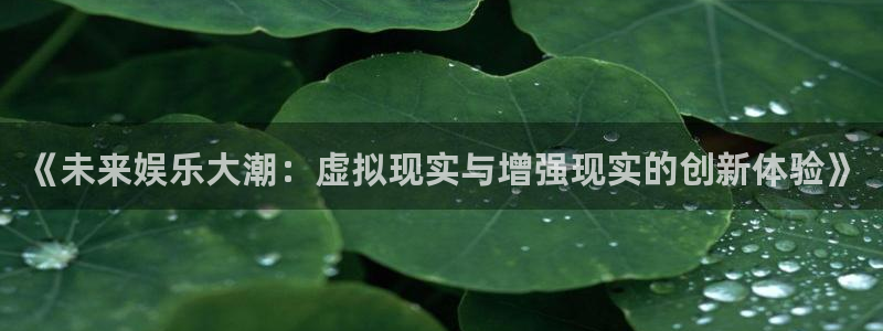 星辉平台,apk：《未来娱乐大潮：虚拟现实与增强现实的创新体验》
