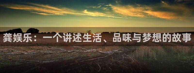 星辉平台下载地址：龚娱乐：一个讲述生活、品味与梦想的故事