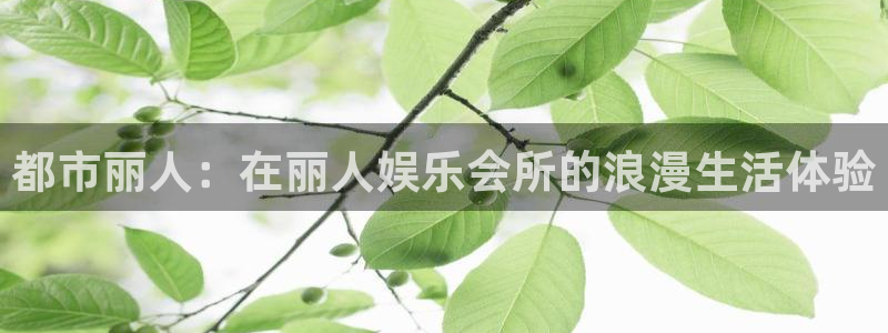 星辉平台注册：都市丽人：在丽人娱乐会所的浪漫生活体验