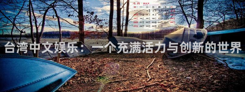 星辉平台 - ng大舞台,有梦你就来：台湾中文娱乐：一个充满活力与创新的世界