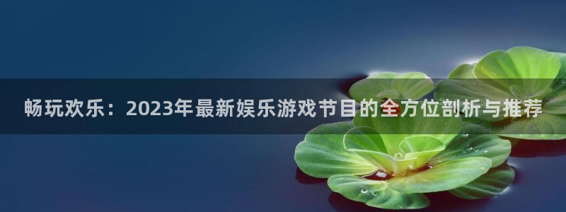 星辉平台下载：畅玩欢乐：2023年最新娱乐游戏节目的全方位剖析与推荐