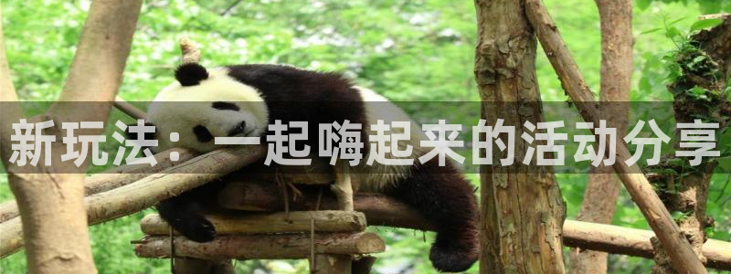 星辉平台下载地址：新玩法：一起嗨起来的活动分享