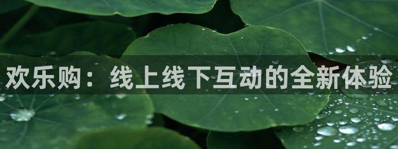星辉平台下载：欢乐购：线上线下互动的全新体验