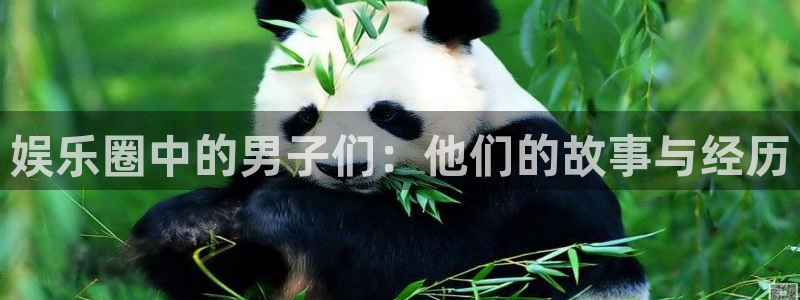 星辉平台登录：娱乐圈中的男子们：他们的故事与经历