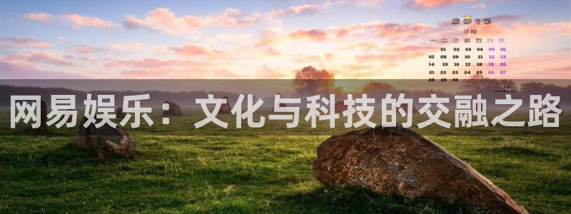 星辉平台app网页入口：网易娱乐：文化与科技的交融之路