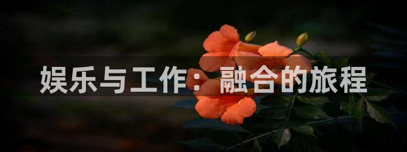 壹号平台娱乐：娱乐与工作：融合的旅程