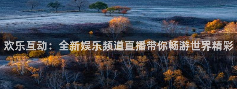 壹号app下载官方网站：欢乐互动：全新娱乐频道直播带你畅游世界精彩