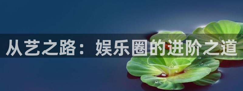 星辉平台是赌博吗：从艺之路：娱乐圈的进阶之道